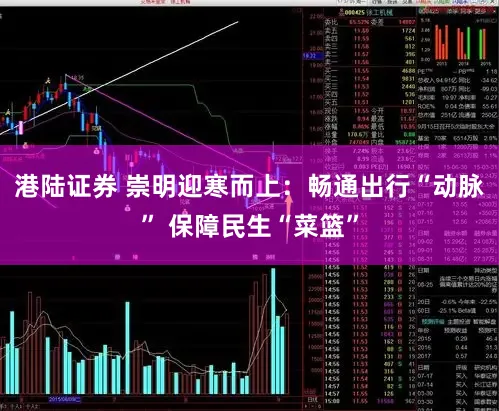 港陆证券 崇明迎寒而上：畅通出行“动脉” 保障民生“菜篮”
