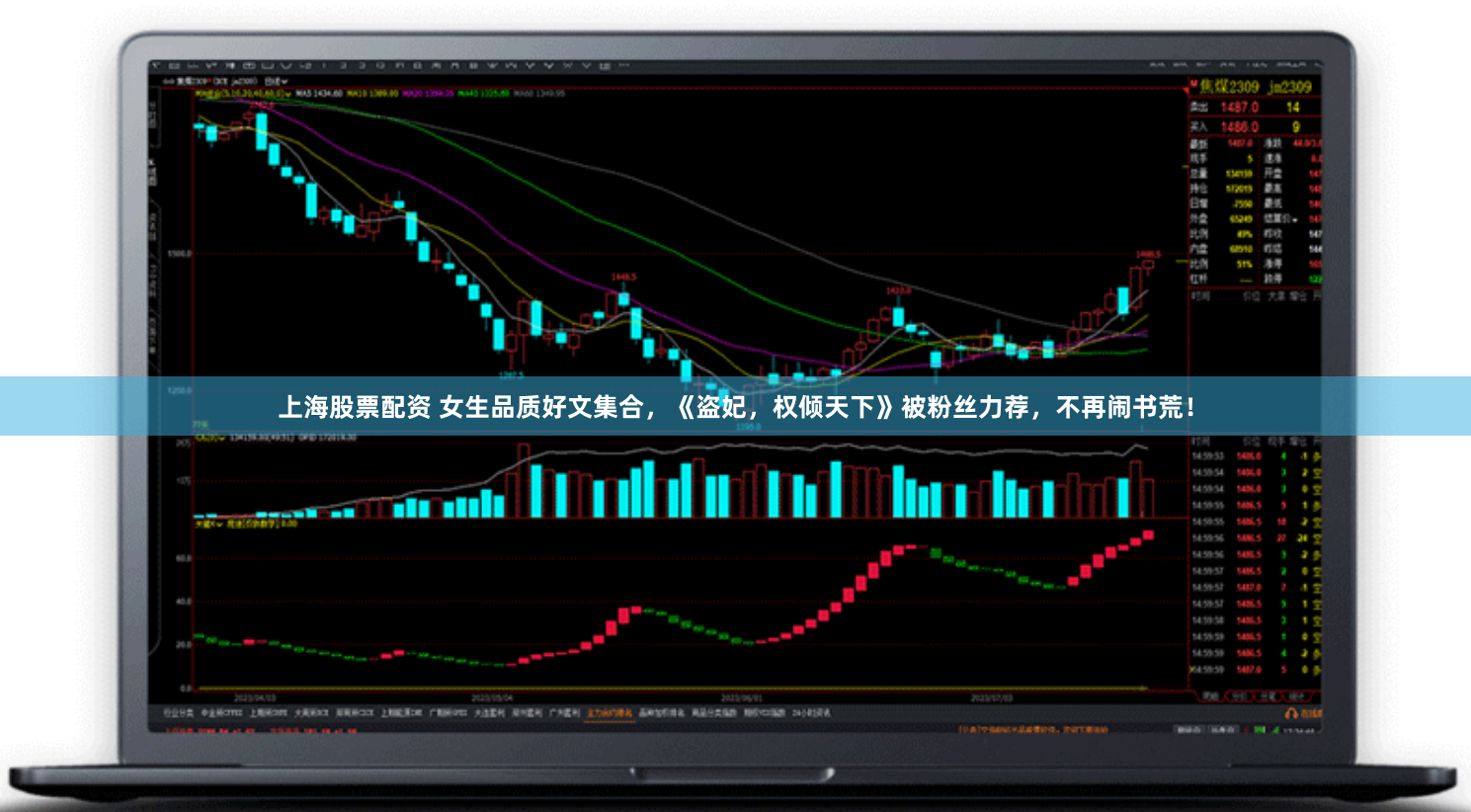 上海股票配资 女生品质好文集合，《盗妃，权倾天下》被粉丝力荐，不再闹书荒！
