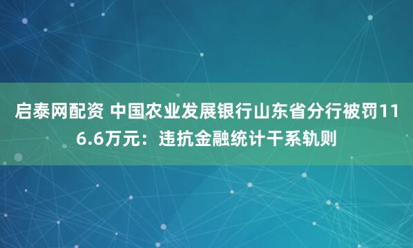 启泰网配资 中国农业发展银行山东省分行被罚116.6万元：违抗金融统计干系轨则