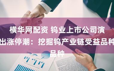 横华网配资 钨业上市公司演出涨停潮：挖掘钨产业链受益品种