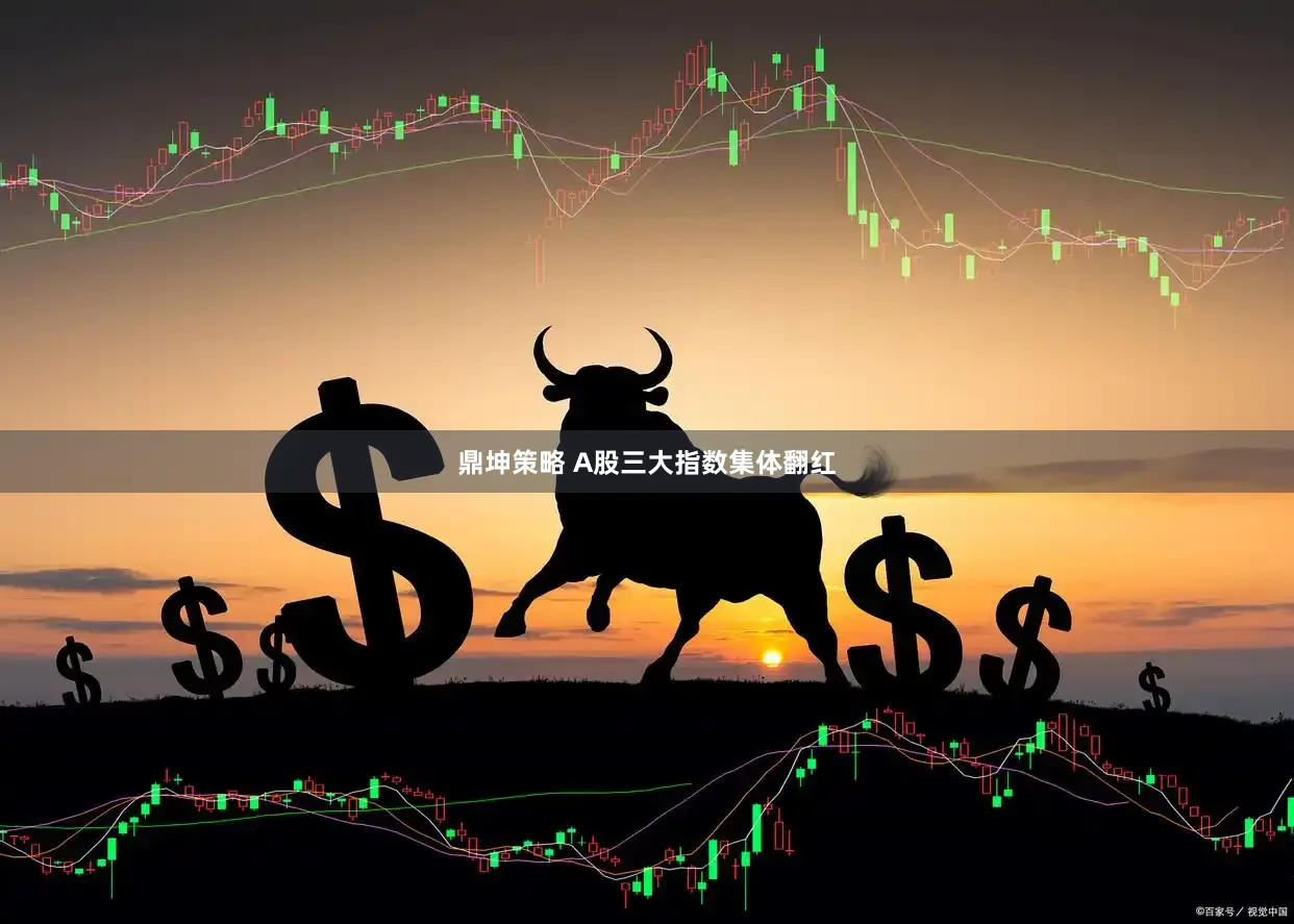 鼎坤策略 A股三大指数集体翻红