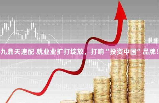 九鼎天速配 就业业扩打绽放，打响“投资中国”品牌！