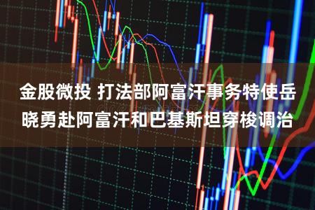 金股微投 打法部阿富汗事务特使岳晓勇赴阿富汗和巴基斯坦穿梭调治