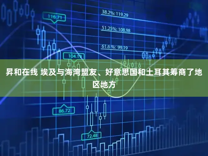 昇和在线 埃及与海湾盟友、好意思国和土耳其筹商了地区地方