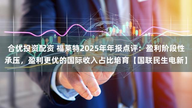 合优投资配资 福莱特2025年年报点评：盈利阶段性承压，盈利更优的国际收入占比培育【国联民生电新】