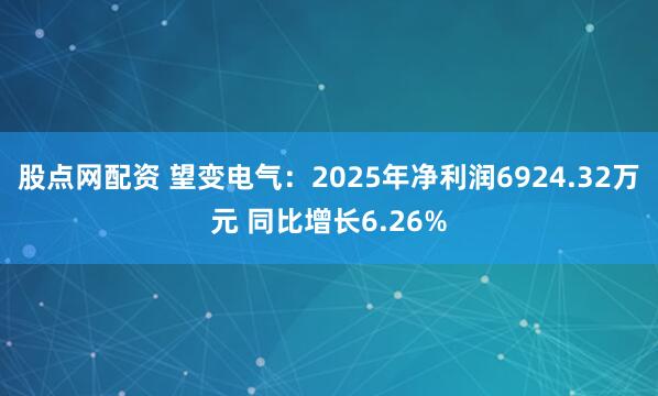 股点网配资 望变电气：2025年净利润6924.32万元 同比增长6.26%