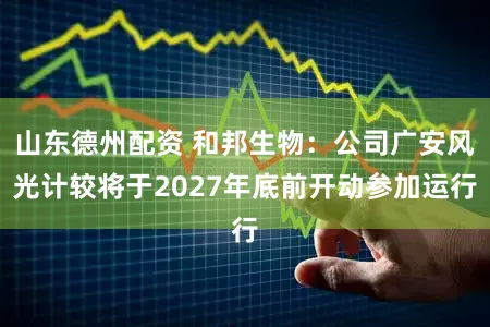 山东德州配资 和邦生物：公司广安风光计较将于2027年底前开动参加运行